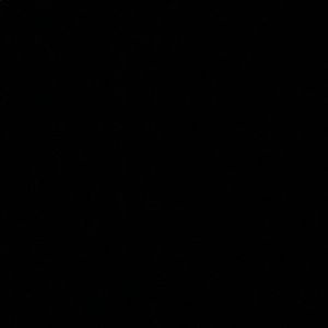 Meet your Posher, Allyas